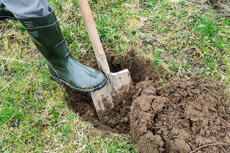 Man digs a hole to plant a tree