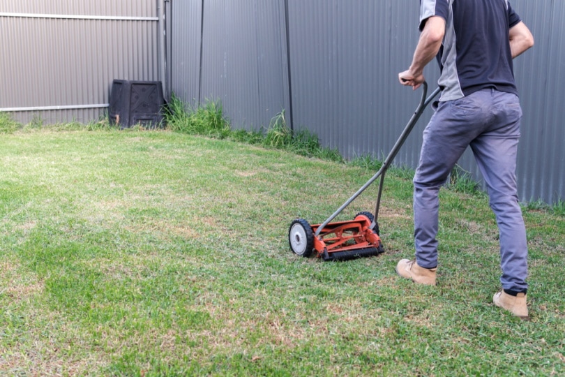 man using reel mower