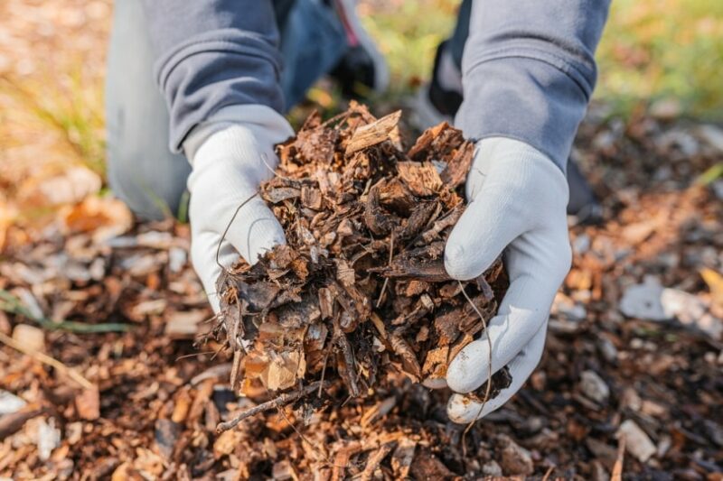 mans hand holding mulch