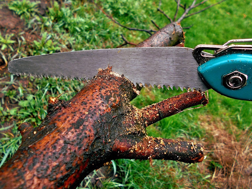 Manual Saw