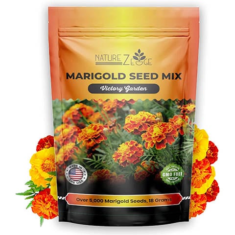 Marigolds