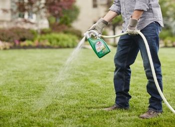 Ortho Nutsedge Spray