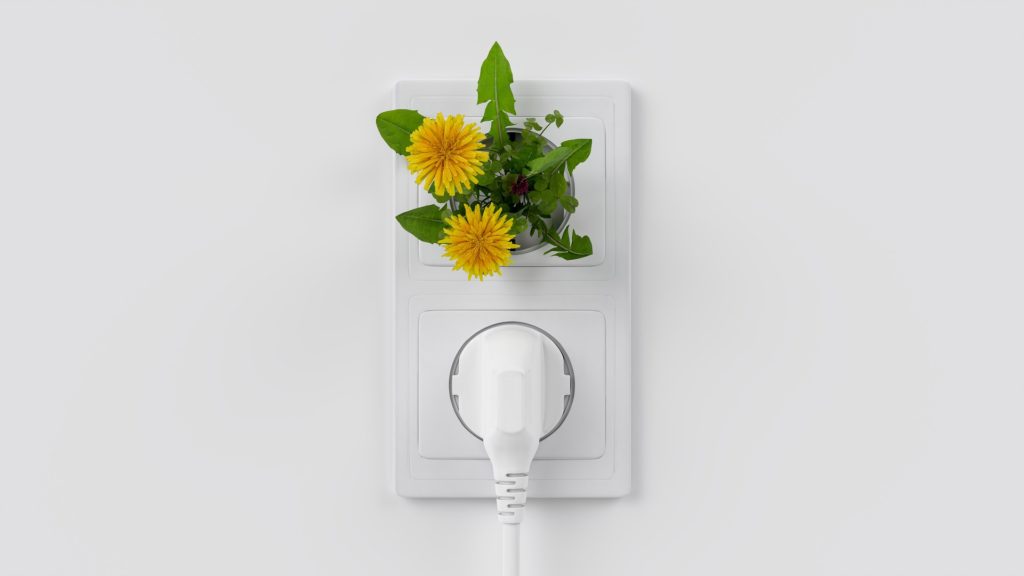 Outlet