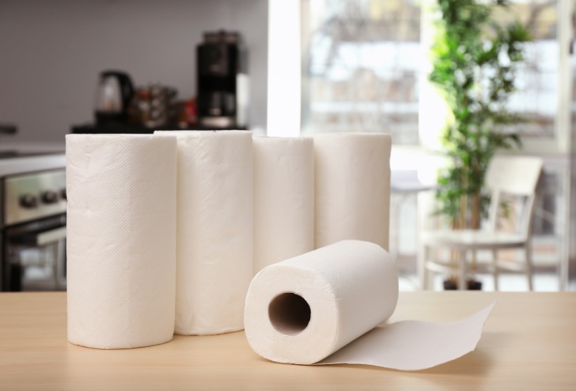 paper towel on the table