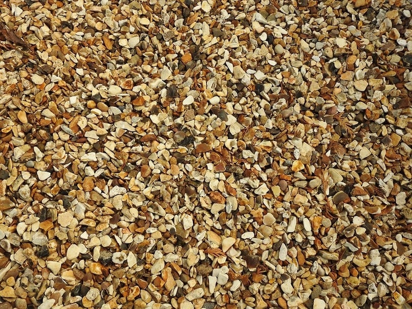 pea gravel-pixabay