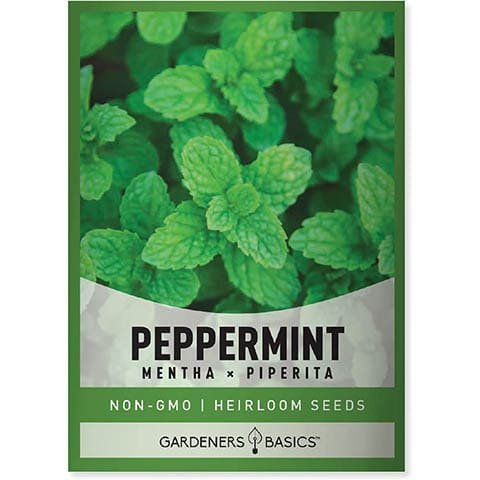 Peppermint