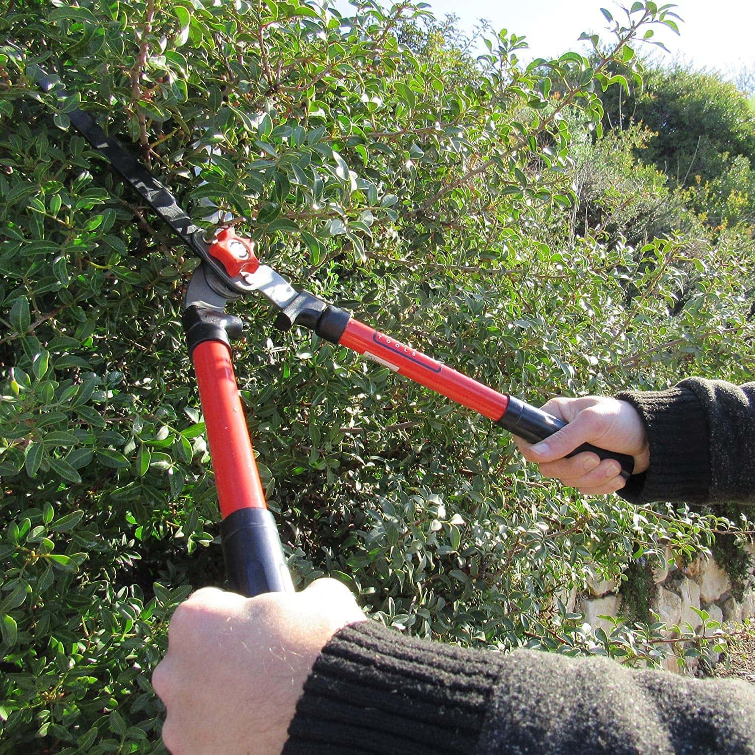 person using TABOR TOOLS B620A Hedge Shears