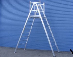 Platform trestle ladder