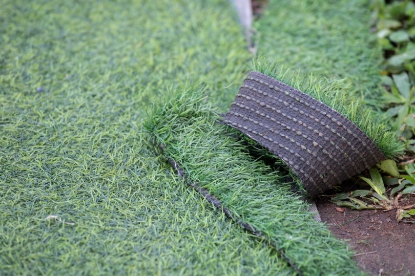 polyethylene grass