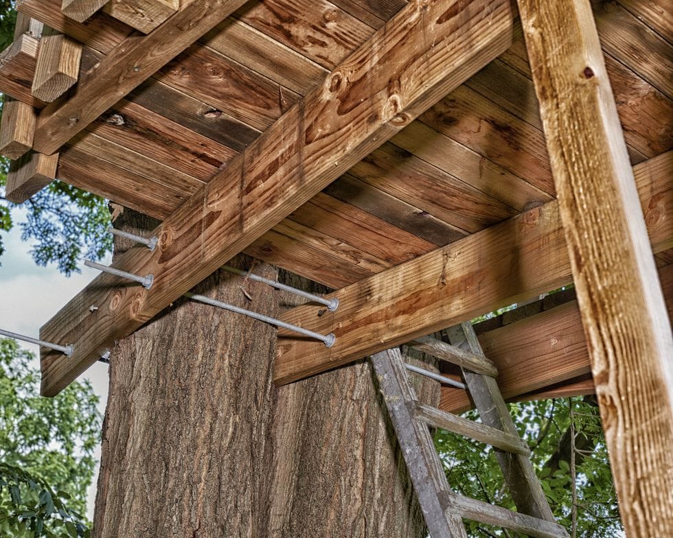 Popular Mechanic’s Tree House Building Guide