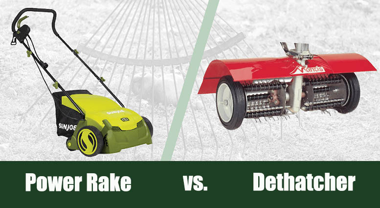 Power Rake vs. Dethatcher