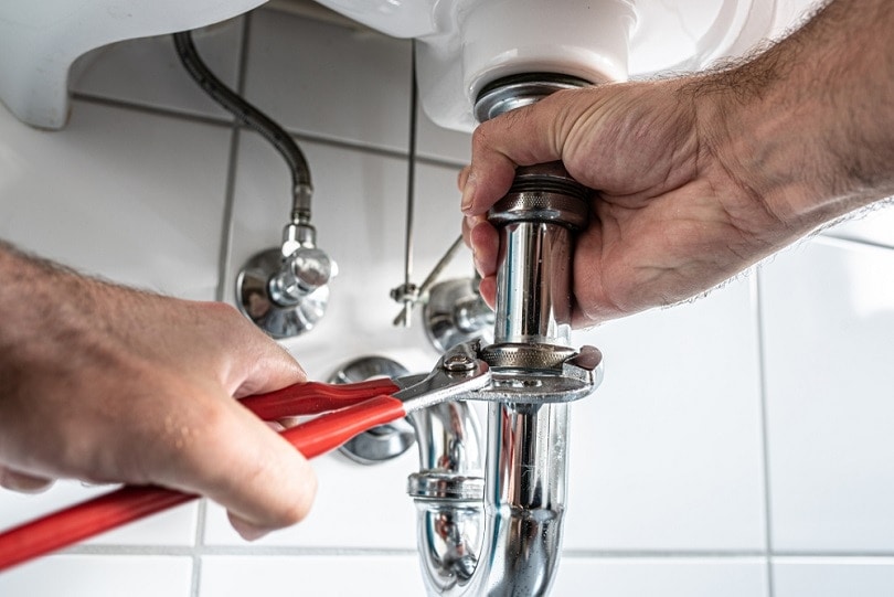 repairing-sink-trap-with-adjustable-pipe-wrench_Christian-Horz_shutterstck