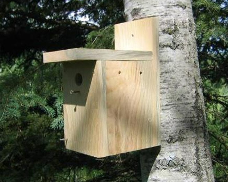 Rod’s Woodworking Shop How to Build a Birdhouse