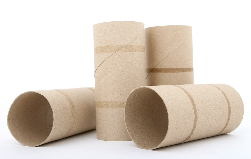 roll-pixabay