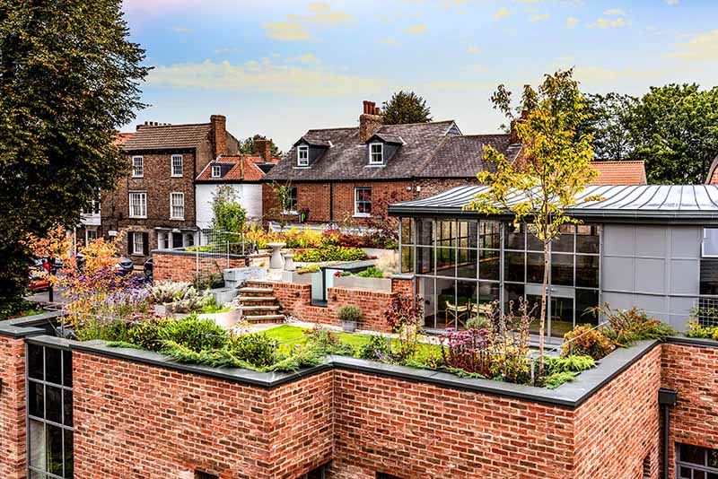Rooftop garden