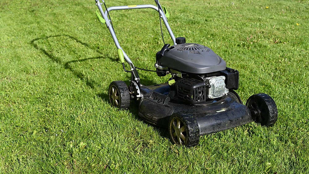 Rotary Lawn Mower
