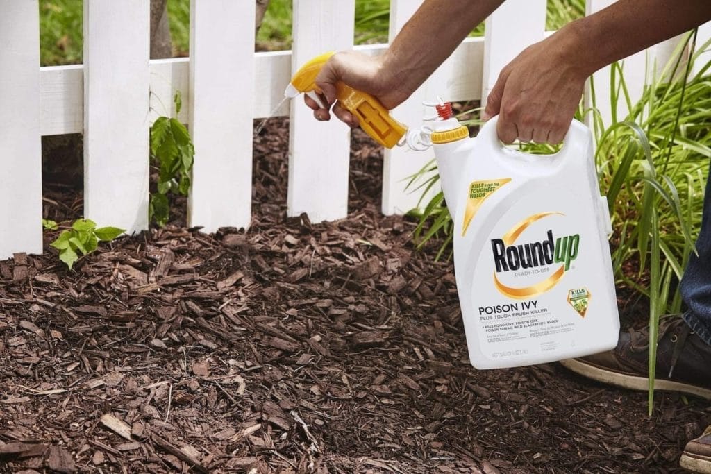 Roundup Poison Ivy Brush Killer