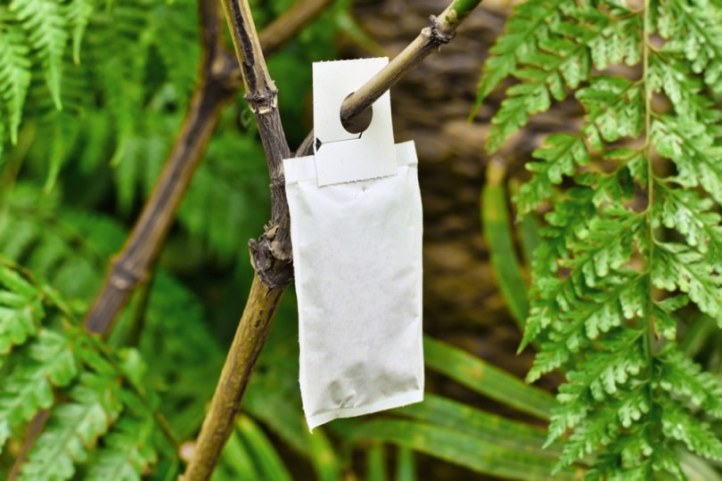 Sachet with beneficial predatory mites