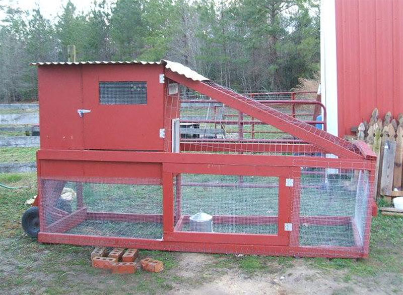 Sadie Lane Tractor by Backyard Chickens