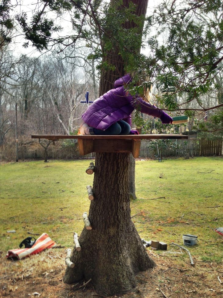 Sahale Tree House Plans