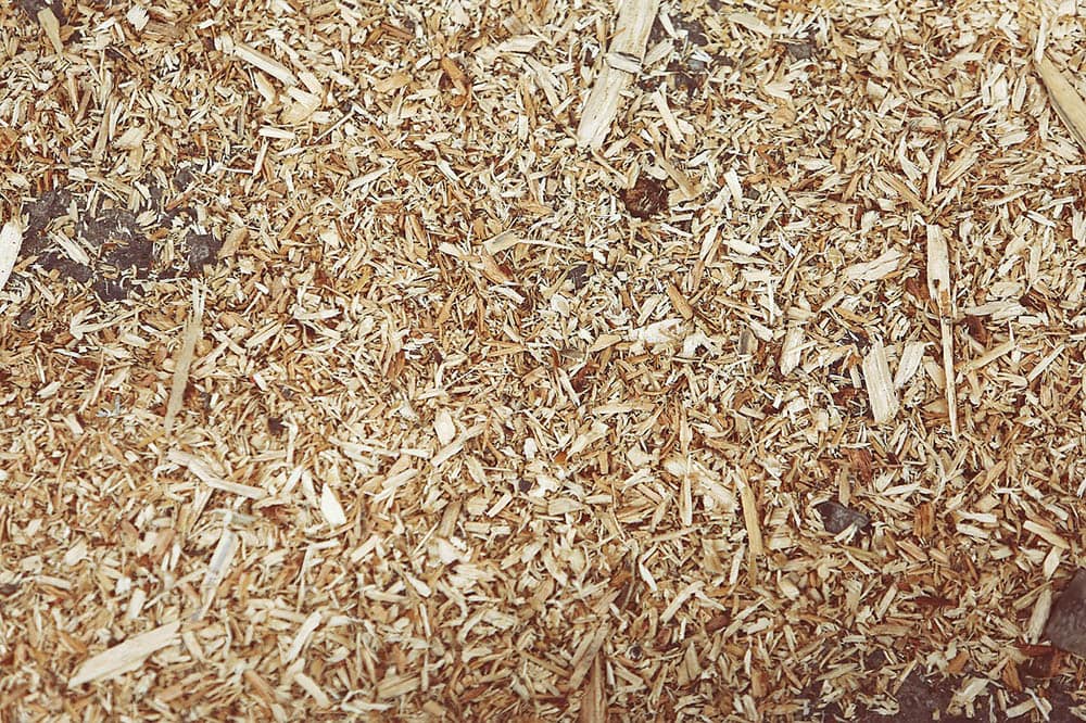sawdust in the soil