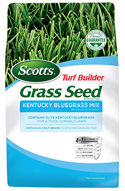 Scotts Turf Builder Kentucky Bluegrass Seed Mix