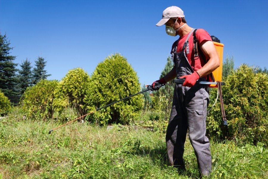 backpack sprayer