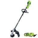 Greenworks 21362