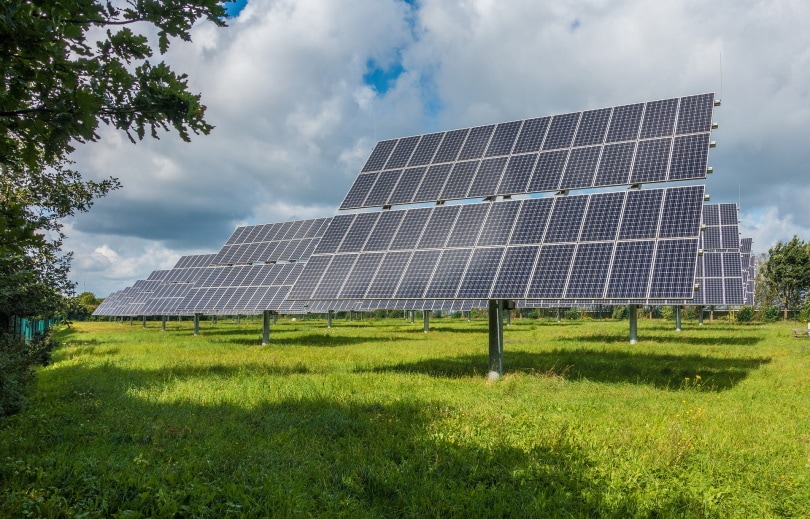 solar panels on the field