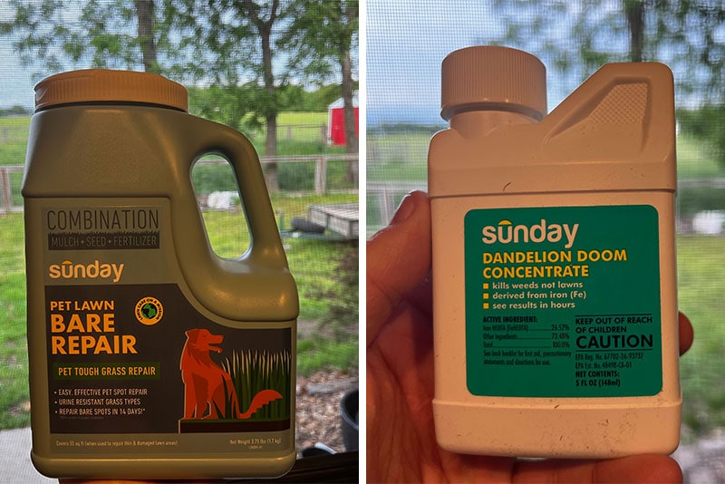 sunday bare repair and dandelion doom concentrate