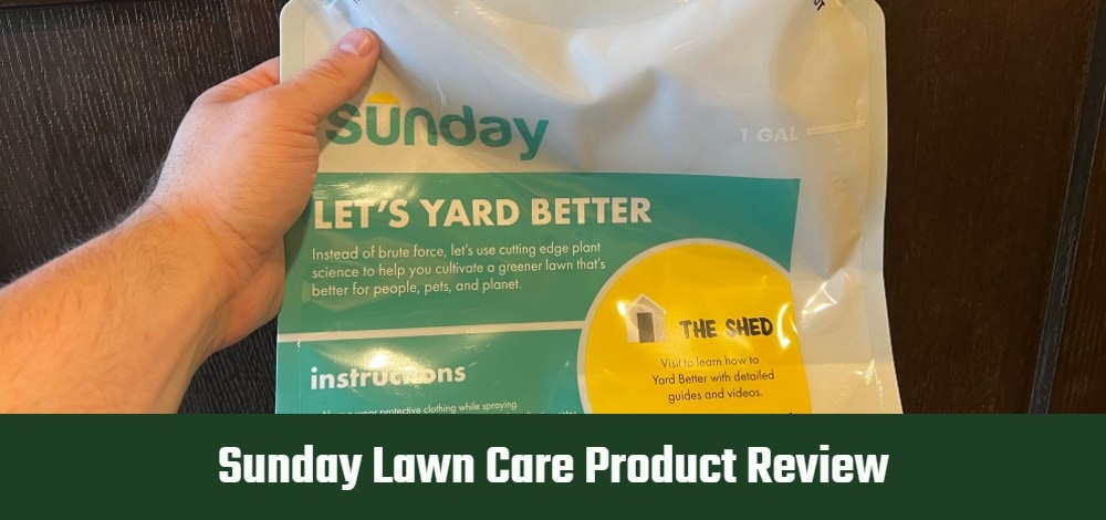 Sunday-lawn-care-product-review-SAPR