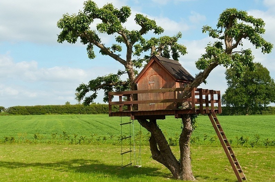 Superdad Tree House
