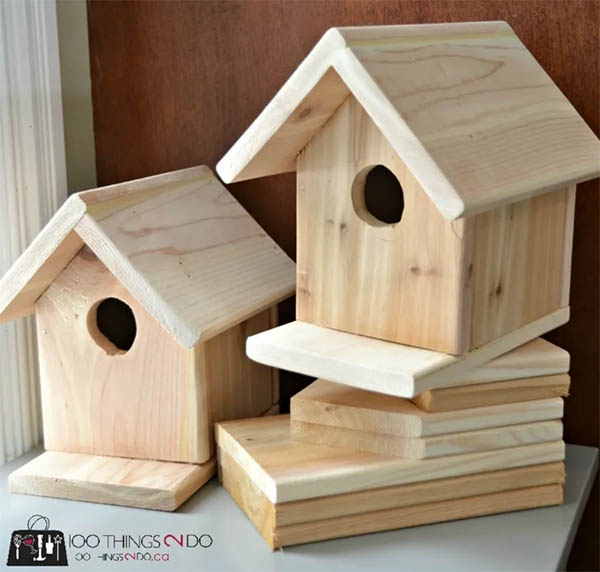 The $3 Birdhouse Plan