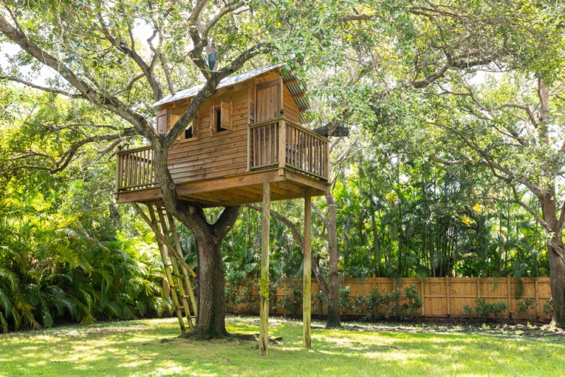 treehouse