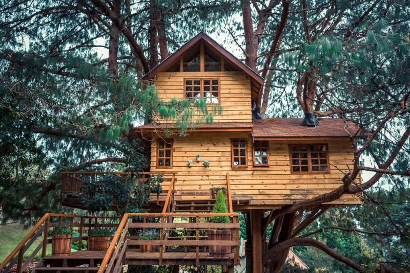 treehouse
