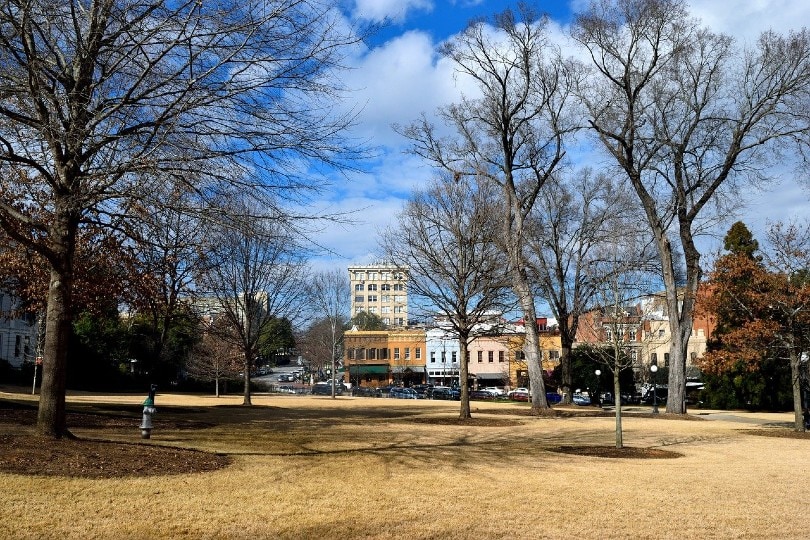 University of Georgia