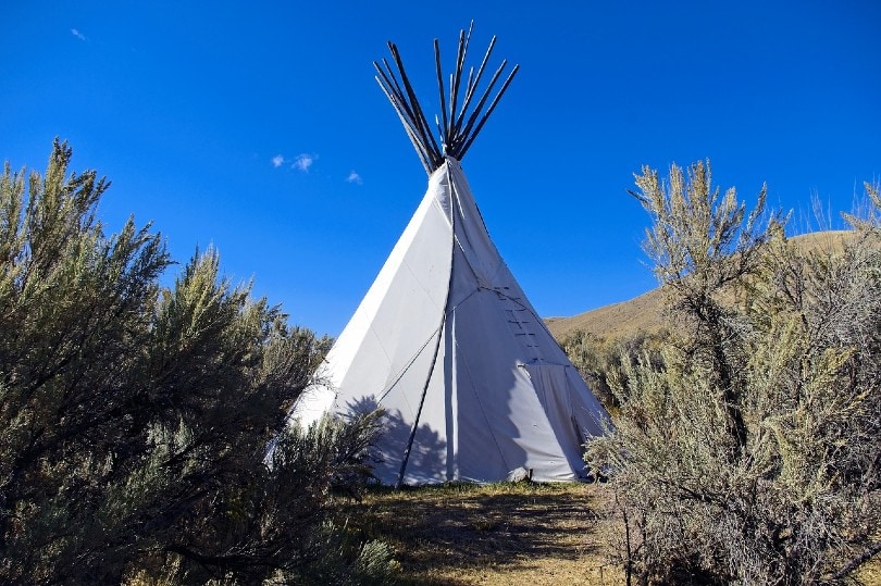 white teepee set up outdoors