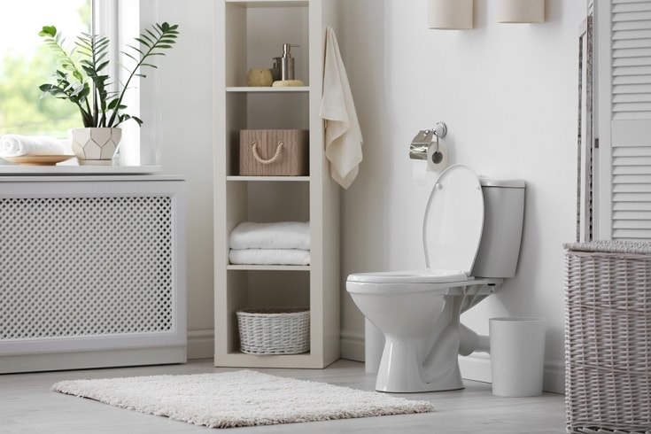 white toilet