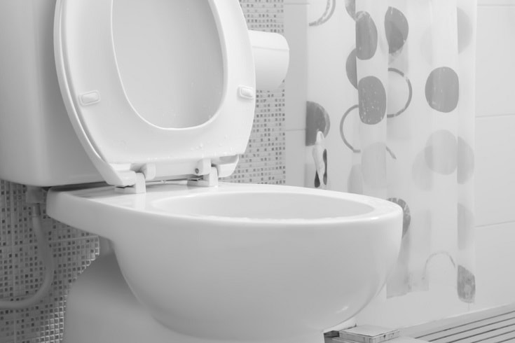 white toilet