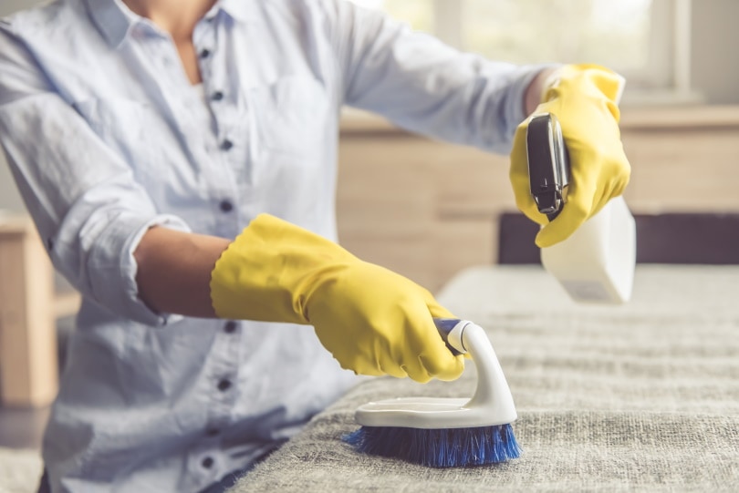 woman cleaning couch