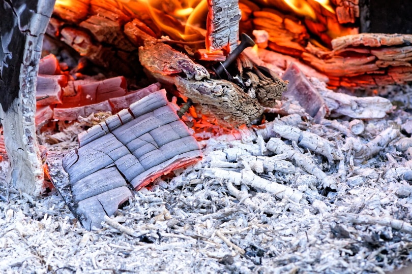 wood ash