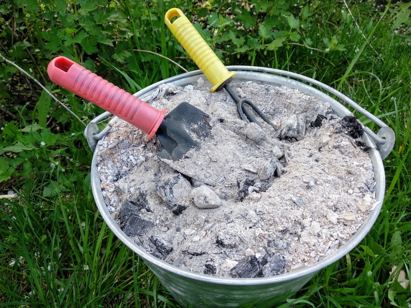 wood ashes in the bucket