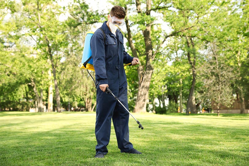 worker spraying green paint on lawn