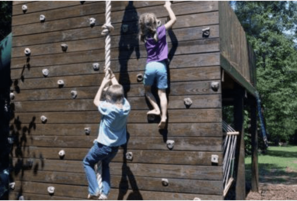 Play and Exercise Tree House