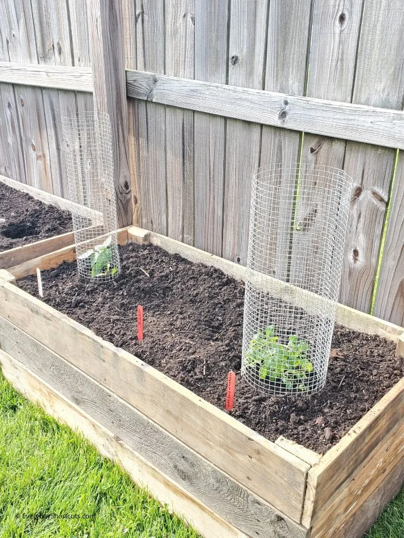 Raised Garden Beds by Everyday Shortcuts