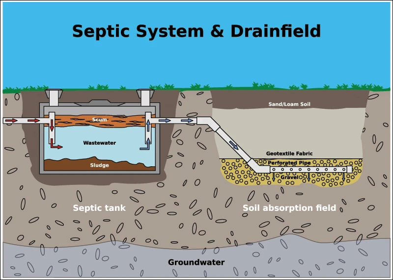 Septic tank system and drainfield diagram