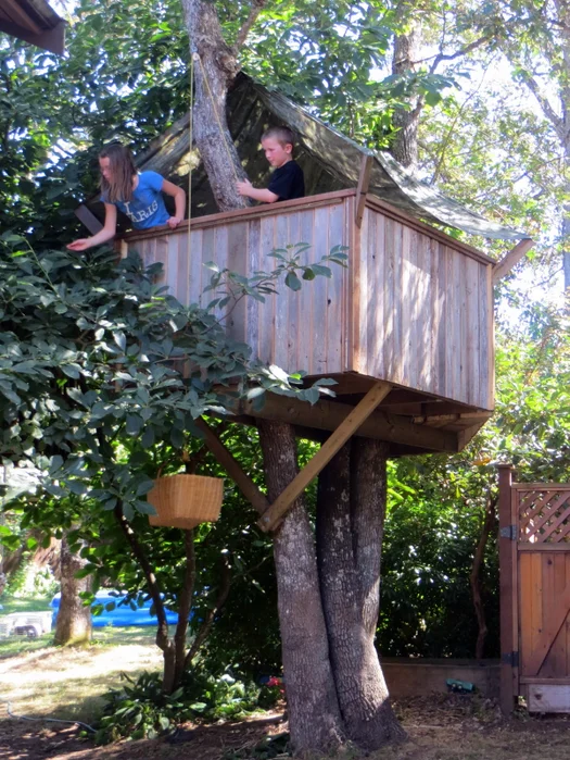 Three-Branch Tree House Plans